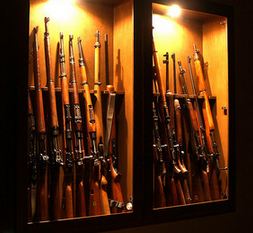Gun laws, post-Sandy Hook