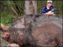 Monster pig.