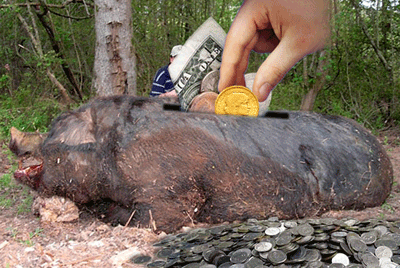EXCLUSIVE: FOLLOW THE BACON :