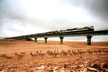 Where The Antelope DON'T Play: