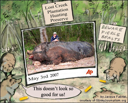 Alabama's Monster Pig Hoax, one year later