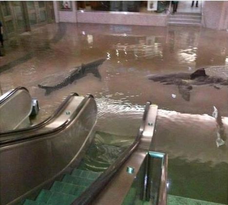 Fake Photo Photoshops Sharks in Flooded Canadian Subway Stop