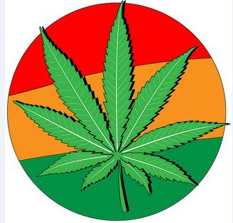 Legalizing Marijuana -- What the Polls Say