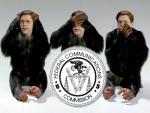 MONKEY SEE, MONKEY DON'T: