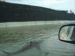 News Outlets Publish Fake Photo of Shark Swimming in Puerto Rico Hurricane Irene Floodwaters