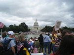 The Tea Party Myths : Polls RUs 