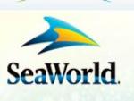 SeaWorld Changes Shows Following Trainer's 2010 Death 