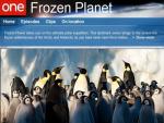 BBC Defends TV Outlets Not Airing Climate Change Part of BBC/Discovery Channel Program