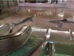 Fake Photo Photoshops Sharks in Flooded Canadian Subway Stop