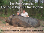 "The Monster Pig Photo's a Fake:"  Reader's Comments