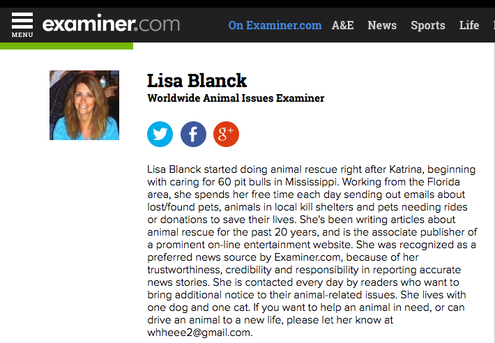 Blanck's Examiner.com author profile. (Credit, Examiner.com, screenshot detail)